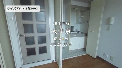 動画