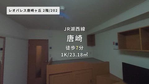 動画