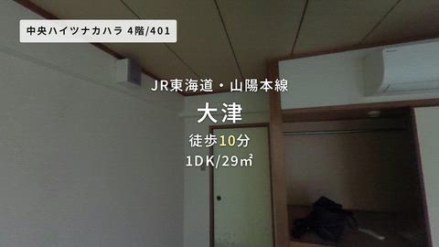 動画