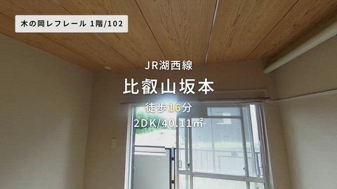 紹介ムービー