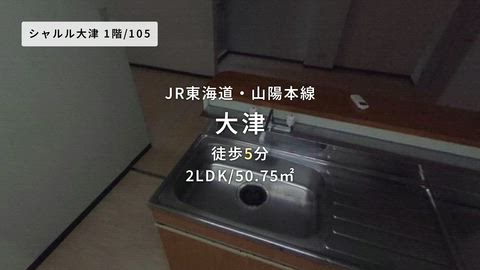動画