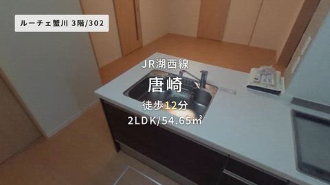動画