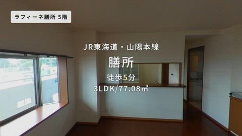 動画