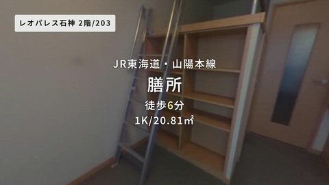 動画
