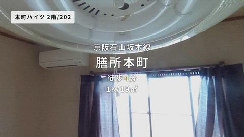 動画