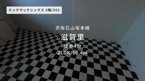動画