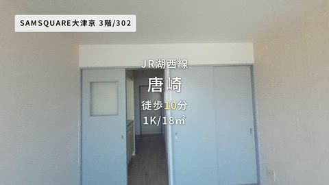 動画