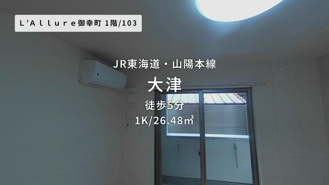 動画