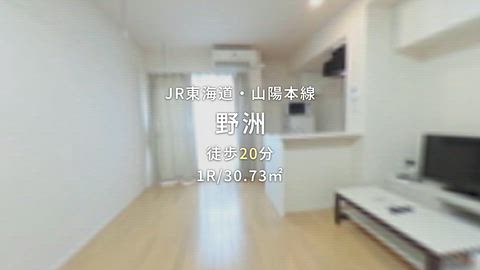 動画