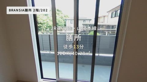 動画