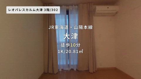 動画