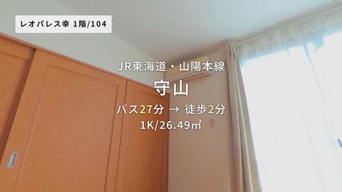 動画