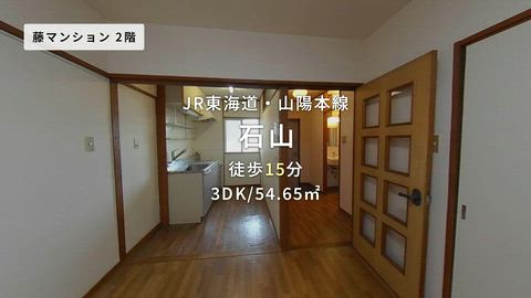 動画