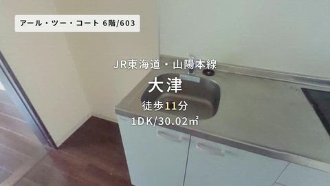 動画