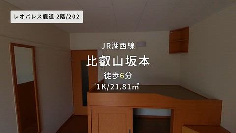 動画