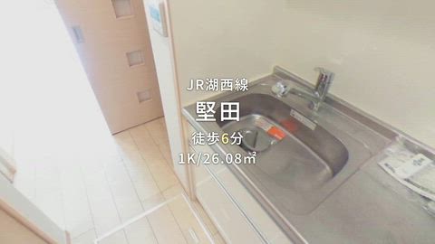 動画