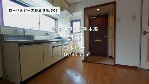 動画