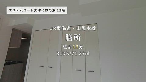 動画