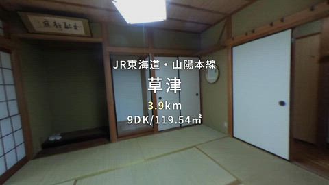 動画