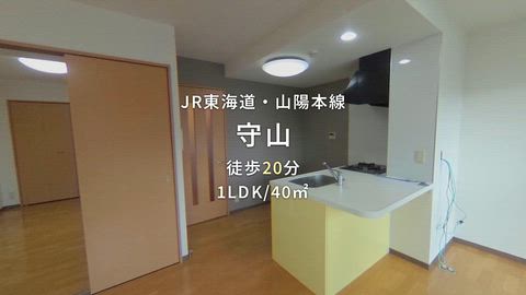 動画