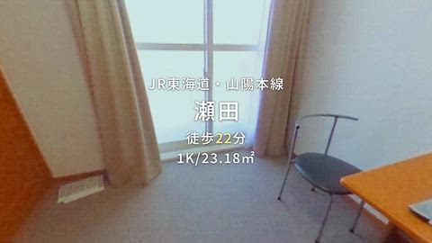 動画