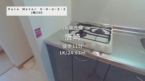 動画