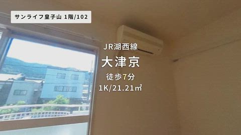 動画