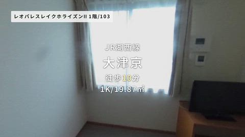 動画