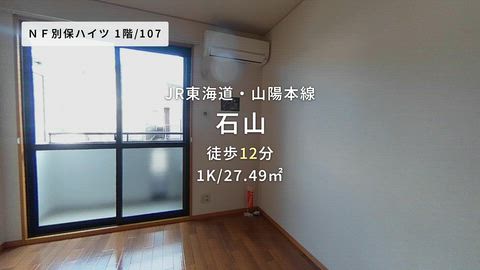 動画