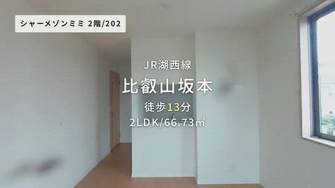 動画