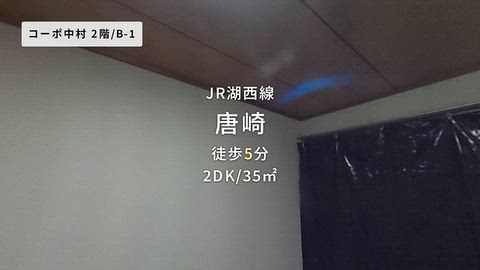 動画
