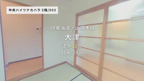 動画