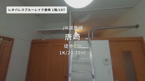 動画