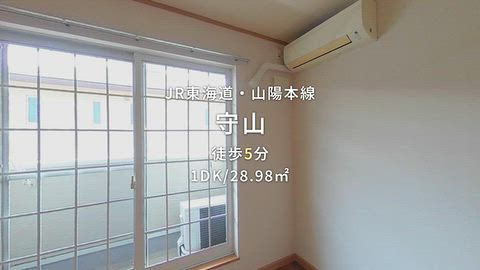 動画