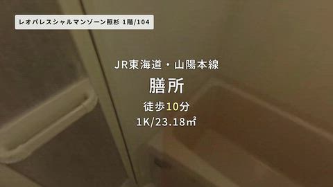 動画