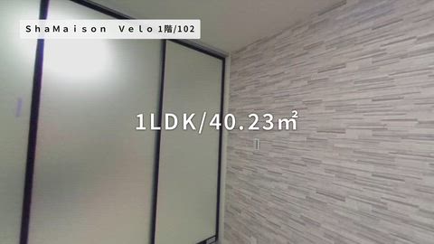 紹介ムービー