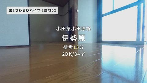 動画