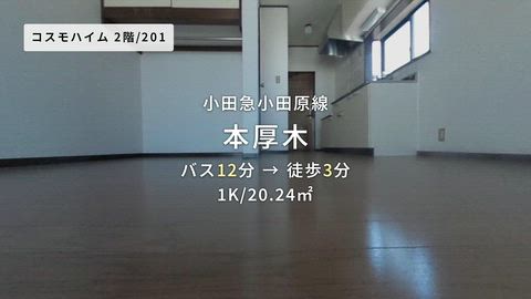 動画