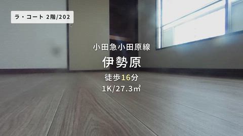 紹介ムービー