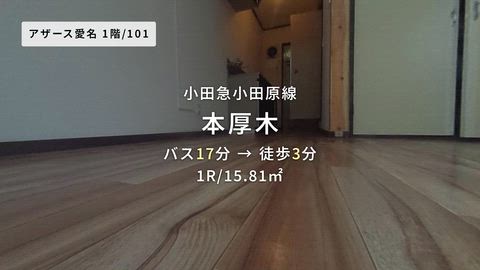 動画