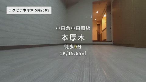 動画