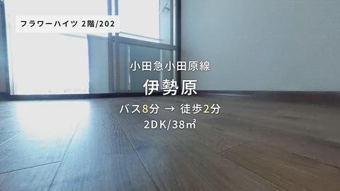 動画