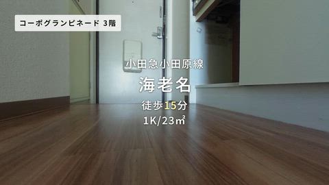 紹介ムービー