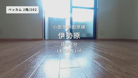 紹介ムービー