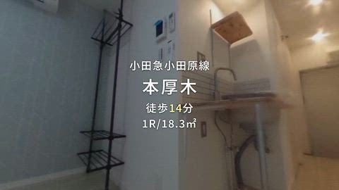 動画