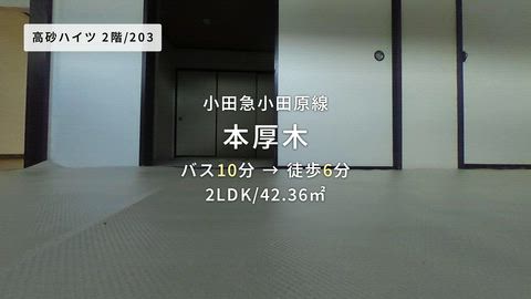 動画