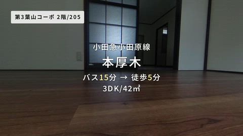 動画