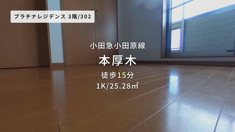 動画