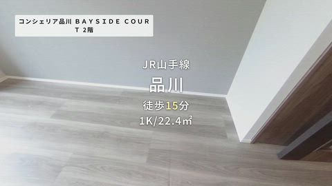 動画