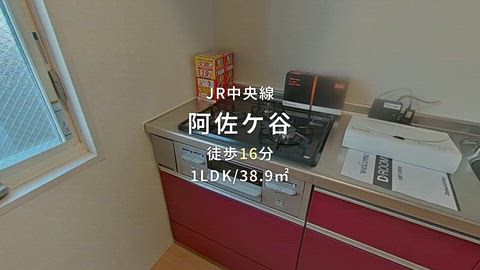動画
